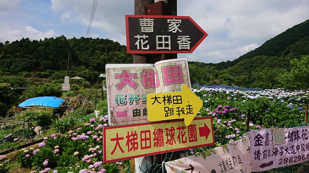 f:id:capepenguin:20200605170437j:plain f:id:capepenguin:20200605170437j:plain