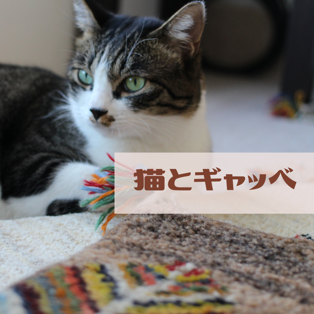 猫は絨毯が好き - Rug-Diary