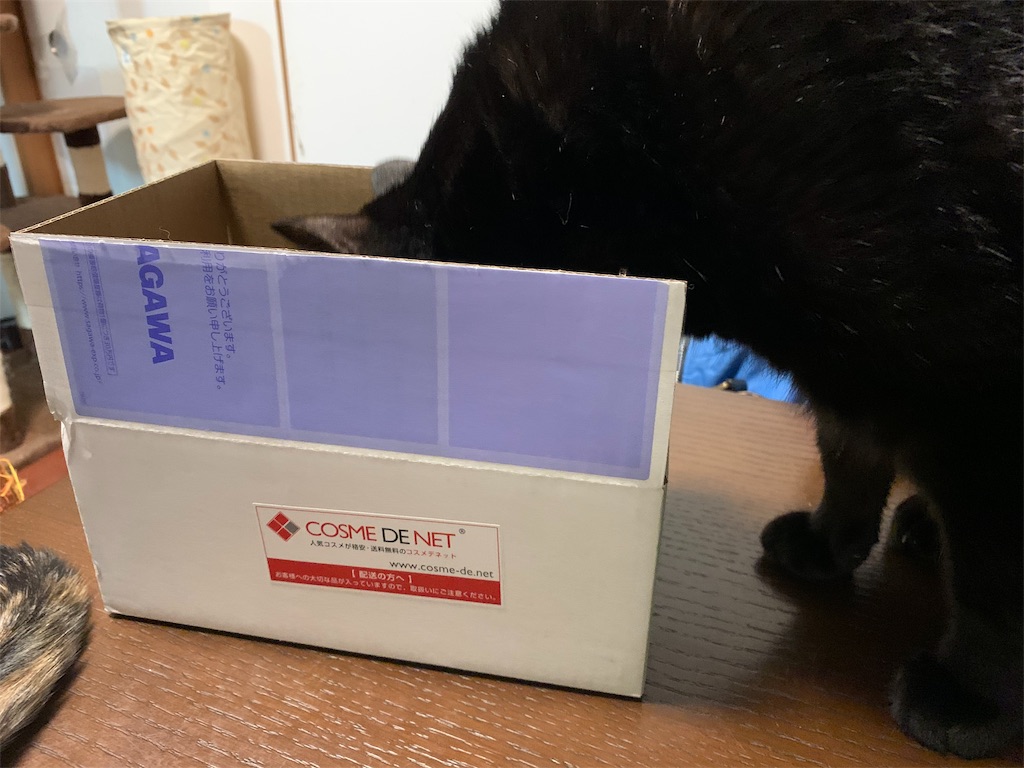 f:id:caposegno:20191127215612j:image