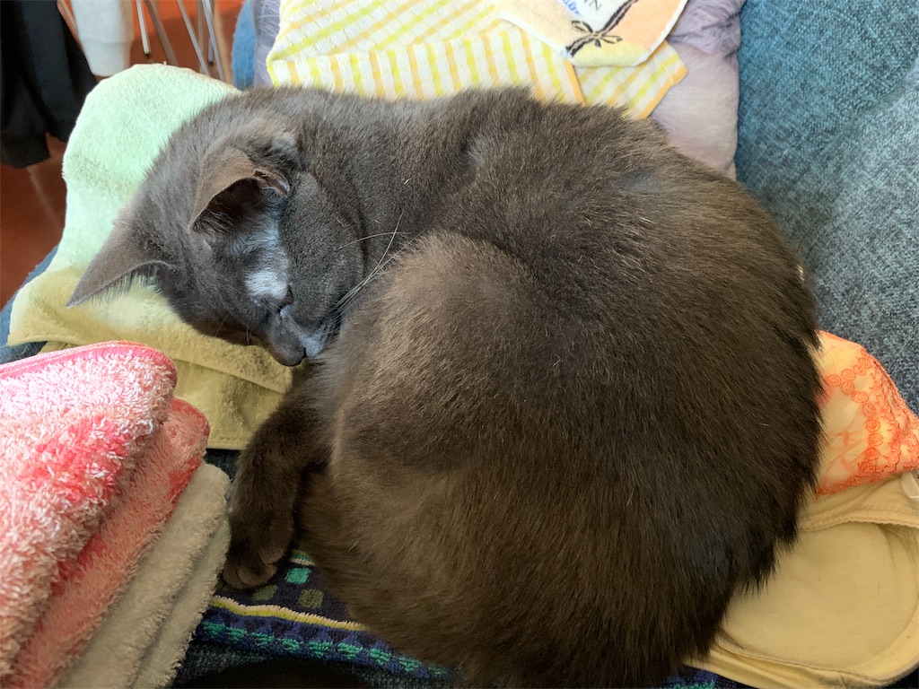 f:id:caposegno:20191129195946j:image