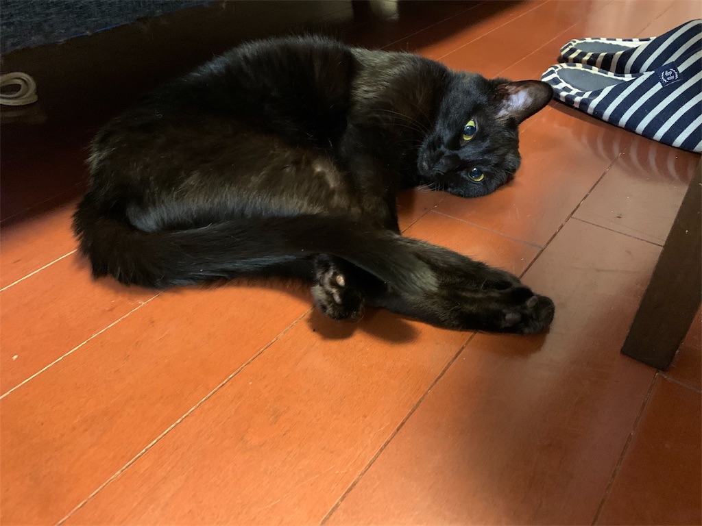 f:id:caposegno:20191211215030j:image