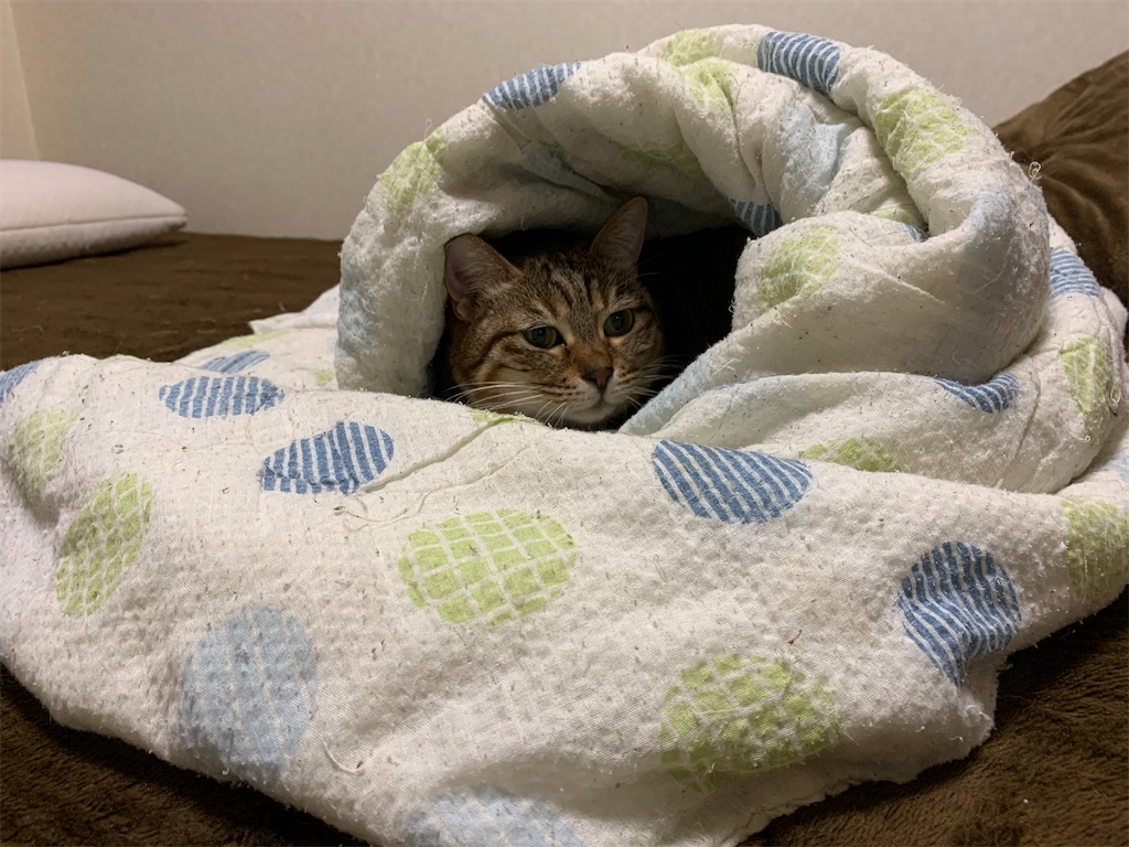 f:id:caposegno:20191219075340j:image