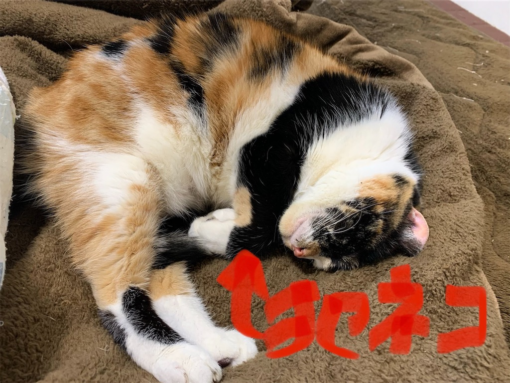 f:id:caposegno:20200115225138j:image