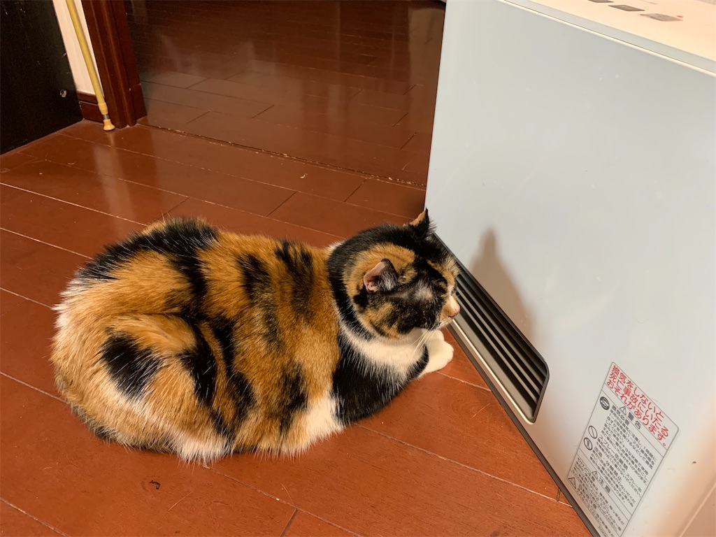 f:id:caposegno:20200115225420j:image