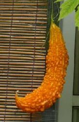 f:id:cappy3:20120805182442j:image