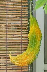 f:id:cappy3:20120805182443j:image