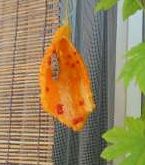f:id:cappy3:20120807101917j:image