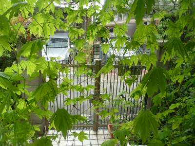 f:id:cappy3:20120814133944j:image