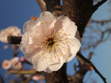 f:id:caprin:20060325160252j:image