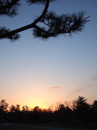 f:id:caprin:20060325173042j:image