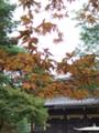 [南禅寺]紅葉はまだ少しだけ