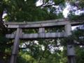 [藤森神社]藤森神社_鳥居