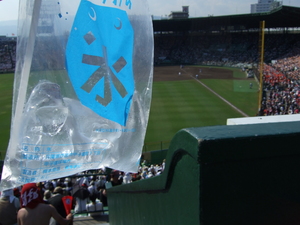 f:id:caprin:20070817021135j:image
