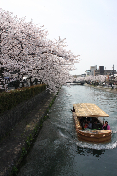 f:id:caprin:20080407001801j:image