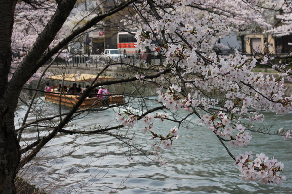 f:id:caprin:20080407001806j:image