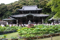 [京都][三室戸寺]