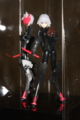 [WF2010S][Figure]