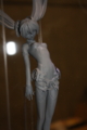 [WF2010S][Figure]