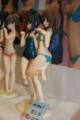 [WF2010S][Figure]