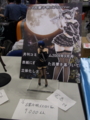 [WF2010S][Figure]