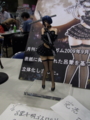 [WF2010S][Figure]