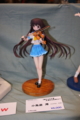 [Figure][WF2011W]