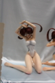 [Figure][WF2012W]