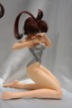 [Figure][WF2012W]