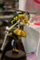 [Figure][WF2012W]