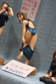 [Figure][WF2012W]