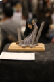 [Figure][WF2012W]