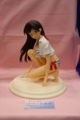 [Figure][WF2012W]