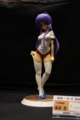 [Figure][WF2012W]