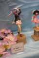 [Figure][WF2012W]