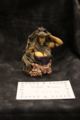 [Figure][WF2012W]