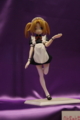 [Figure][WF2012W]