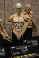 [Figure][WF2012W]