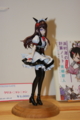 [Figure][WF2012S]