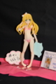 [Figure][WF2012S]