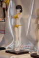 [Figure][WF2012S]