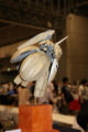 [Figure][WF2012S]