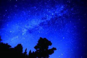 f:id:capsule4186:20220105205641j:plain