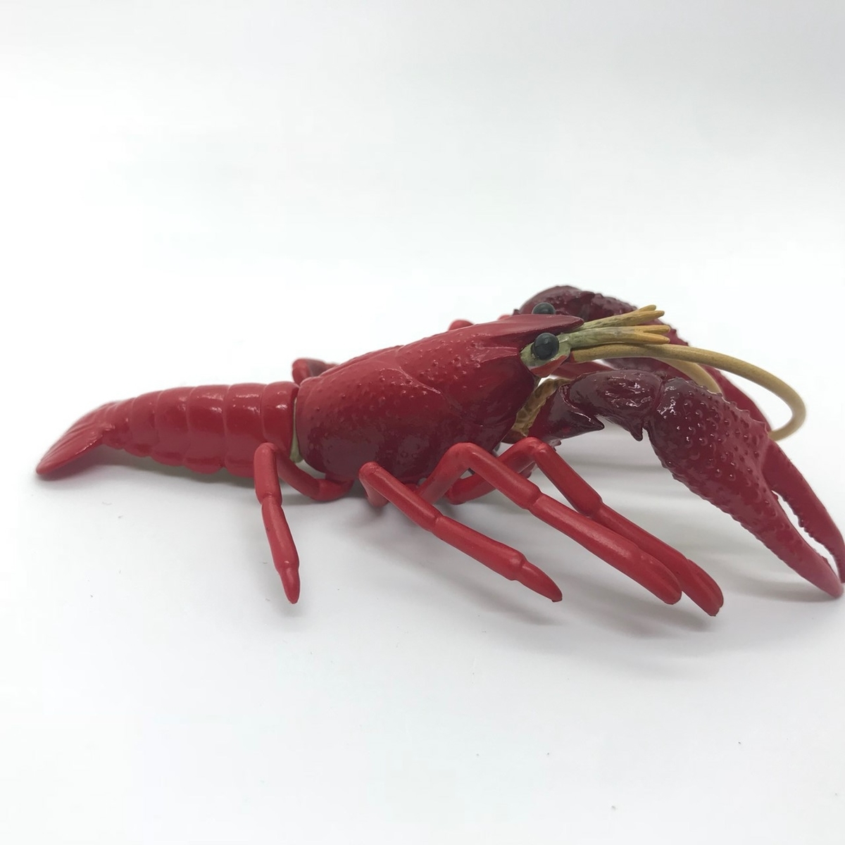 みずべのなかま ガチャガチャ アカミミガメ ザリガニ お金を節約 ザリガニ