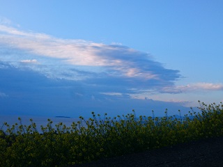 f:id:captain-chi-san:20200913083333j:plain