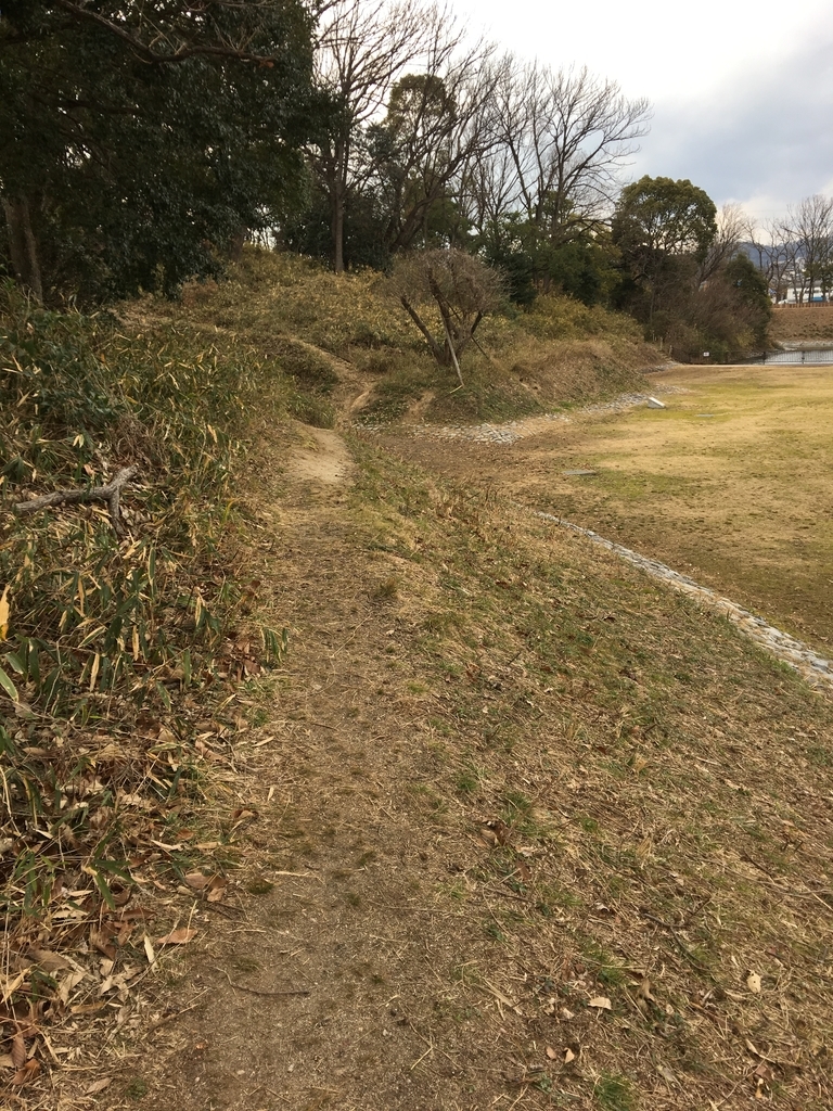 f:id:captain_log:20190223235027j:plain