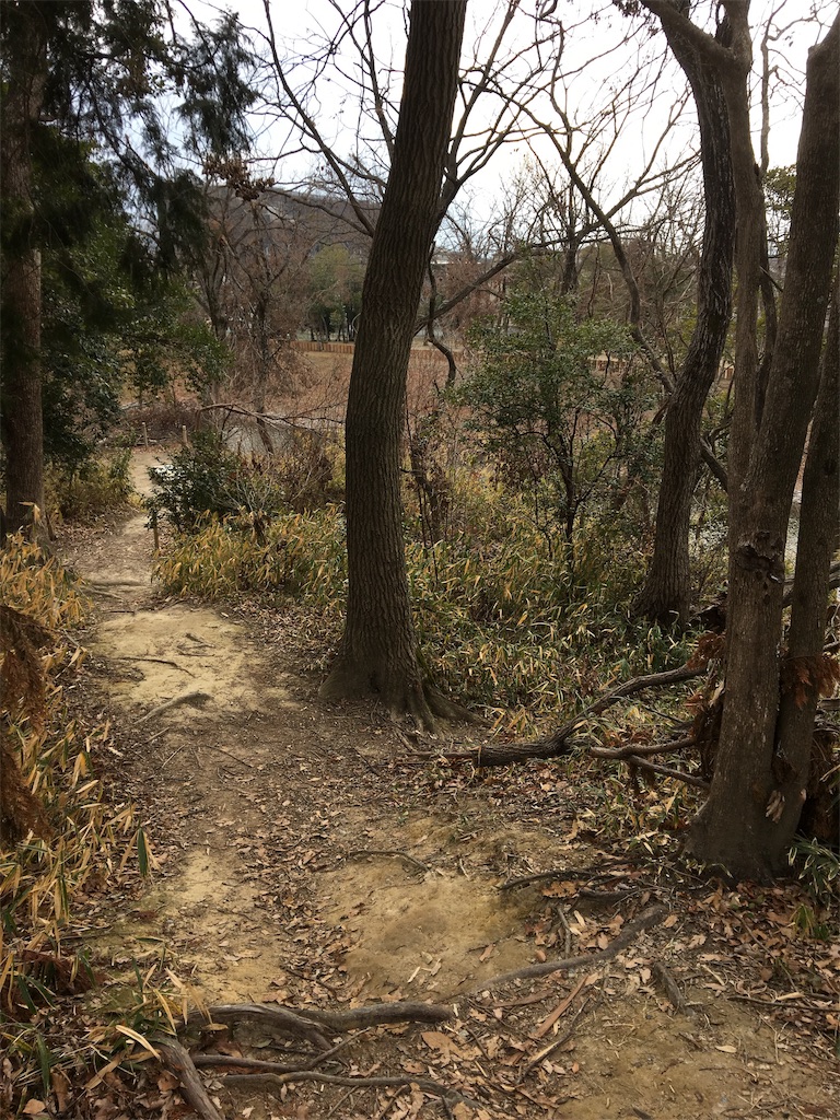 f:id:captain_log:20190224000411j:image