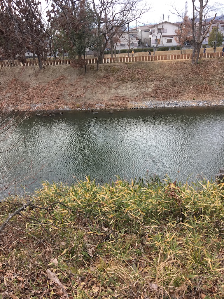 f:id:captain_log:20190224000734j:image