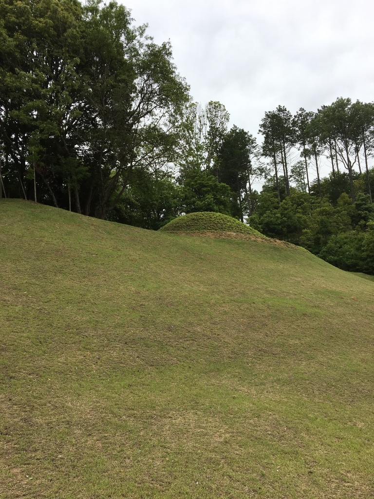 f:id:captain_log:20190303172618j:plain