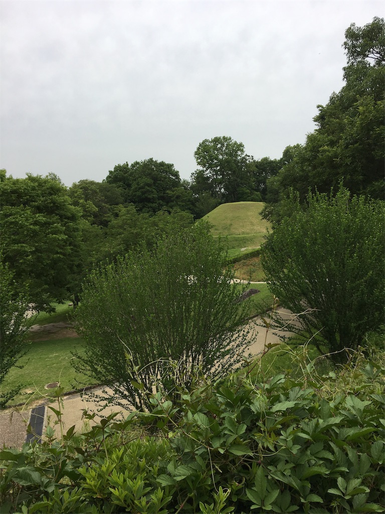 f:id:captain_log:20190322074108j:image