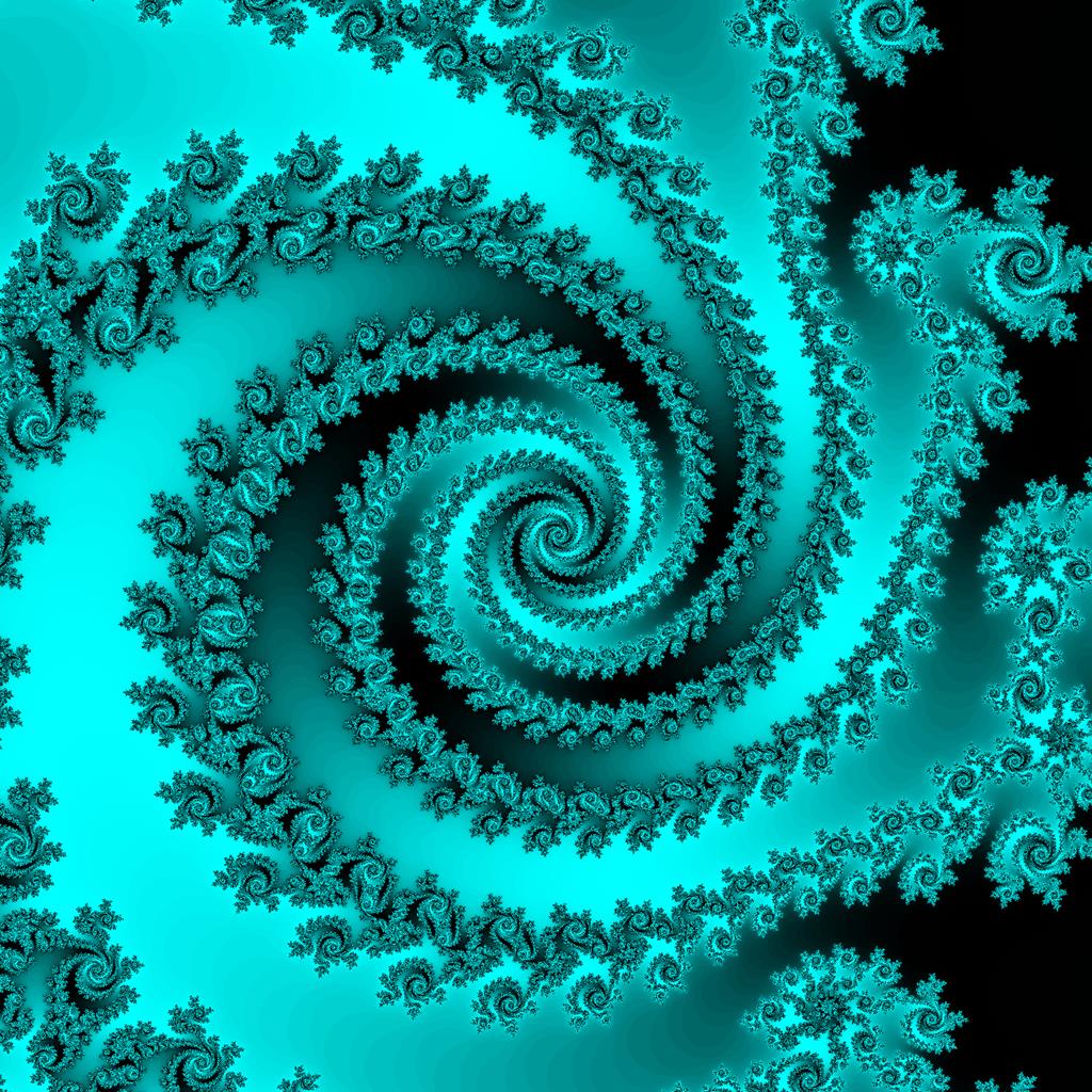 トモエノウズ ふくろう船長が好きなもの